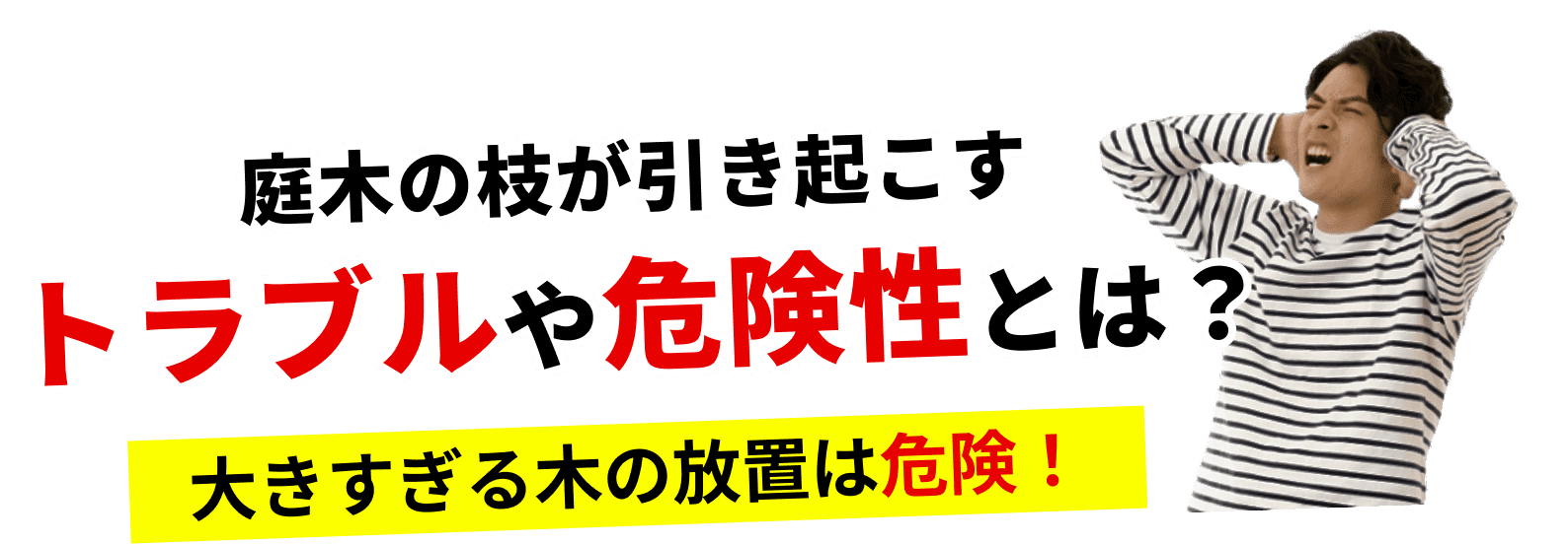 庭木の枝が引き起こすトラブルや危険性とは？大きすぎる木の放置は危険！