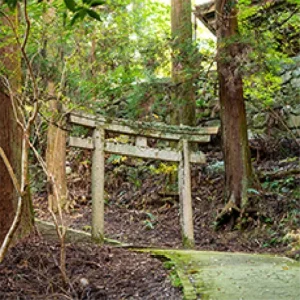 神社　特殊伐採 - Before