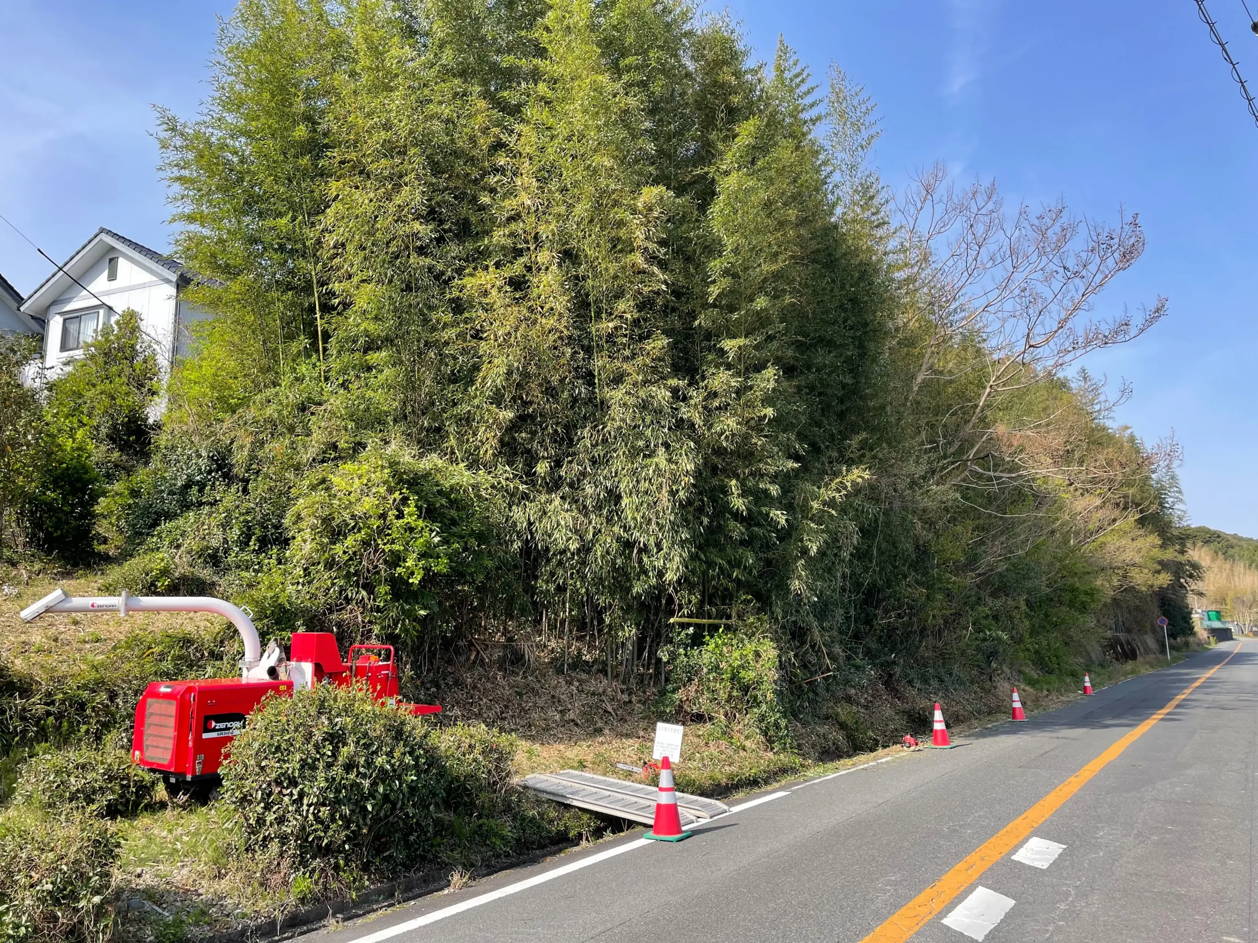 阪南市で道路に倒れ込む竹林を特殊伐採｜アイ・グリーン企画の施工事例 - Before