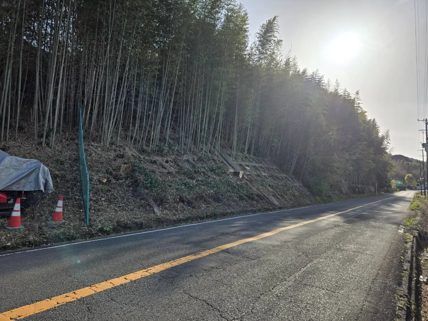 阪南市で道路に倒れ込む竹林を特殊伐採｜アイ・グリーン企画の施工事例 - After