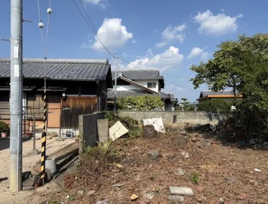 和泉市で電線横の松を特殊伐採｜高所作業車を使った安全な伐採事例【大阪 伐採センター】 - After