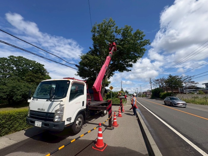 和泉市で特殊伐採｜歩道・車道にはみ出した高さ約10mの大木を安全に伐採 - Before